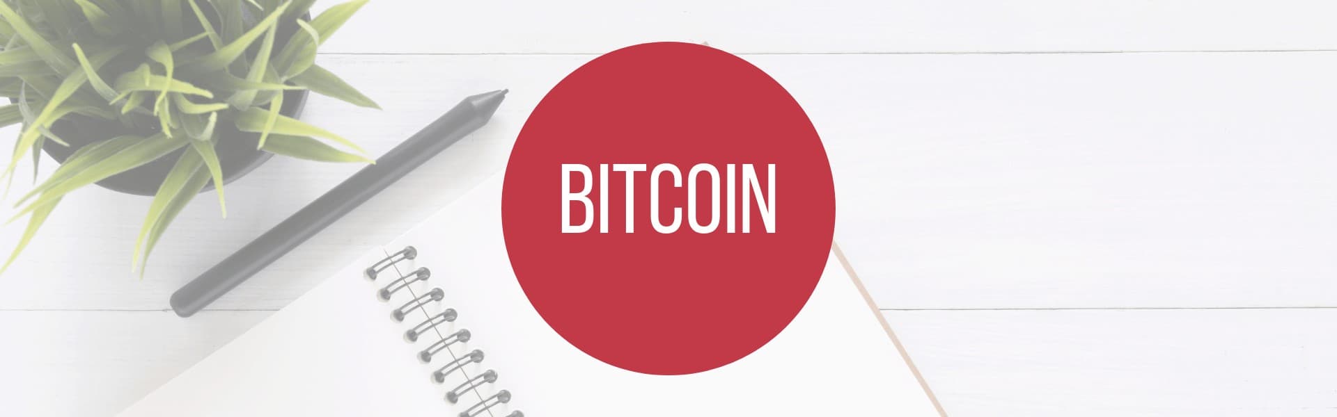 Bitcoin » Fachbegriffe verständlich » medienkraft.at